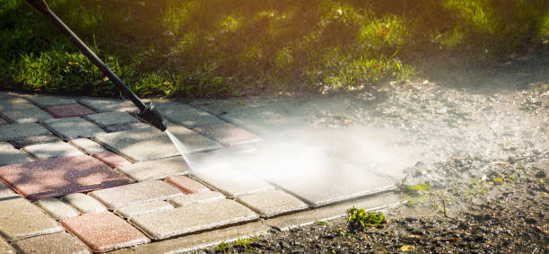 Best Dumpster Area Cleaning  in , SD